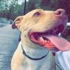 casper_c